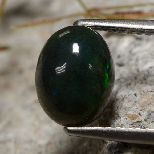 Multicolor Black Opal Gem - 1.2ct Oval Cabochon (ID: 473852)
