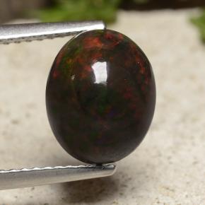 Многоцветный Черный Опал Камень - 2.2ct Овал Кабошон (ID: 490695)