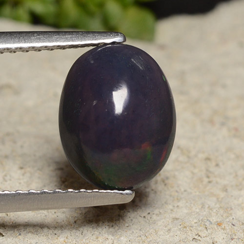 Multicolor Ópalo Negro Gema - 1.5ct Cabujón Óvalo (ID: 490764)