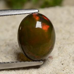 1.9ct Oval Cabochon Multicolor Black Opal for sale thumb image of 1.9ct Oval Cabochon Multicolor Black Opal (ID: 490882)