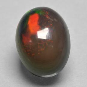 Multicolor Ópalo Negro Gema - 0.8ct Cabujón Óvalo (ID: 500144)