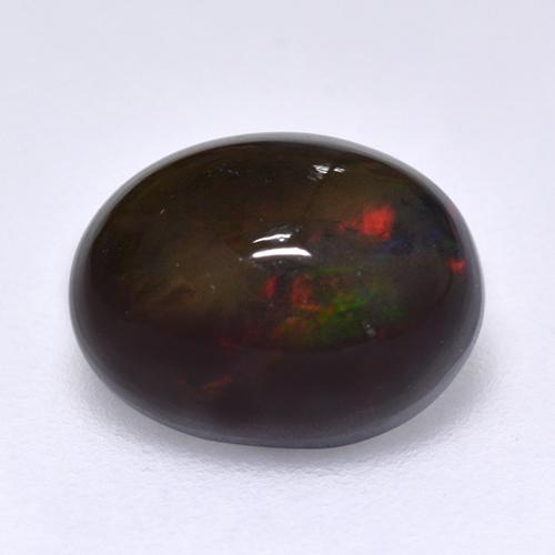 Multicolor Black Opal Gem - 1.2ct Oval Cabochon (ID: 515930)