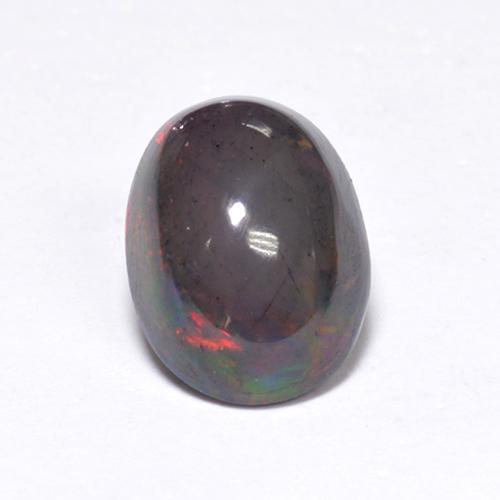 Многоцветный Черный Опал Камень - 1.1ct Овал Кабошон (ID: 519088)
