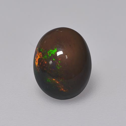 Multicolor Ópalo Negro Gema - 1.3ct Cabujón Óvalo (ID: 529757)