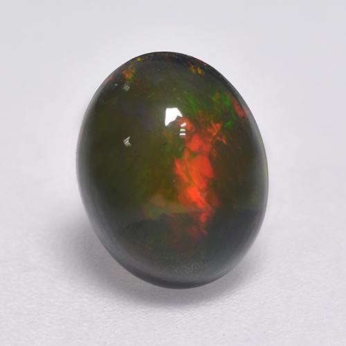 Multicolor Black Opal Gem - 1.2ct Oval Cabochon (ID: 530301)