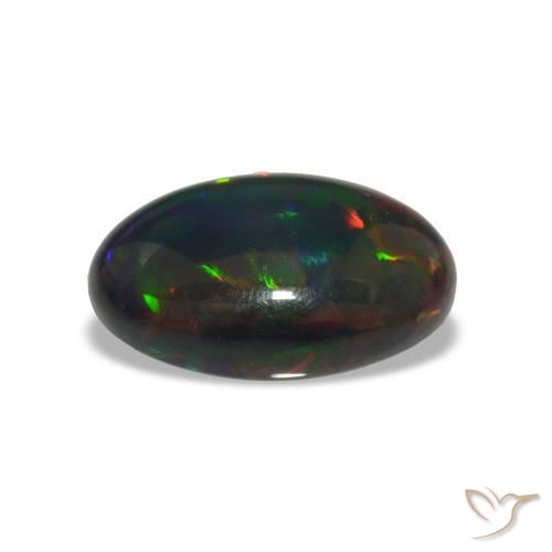 Black Opal Gemstone in 19.2 x 12.9 mm Size for Sale, Black Opal Stone in Multicolor Color