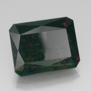 14.13 ct Green Bloodstone Stone, Natural Bloodstone in Octagon / Scissor Cut Shape for Sale