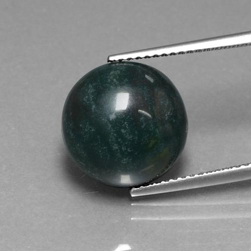 Dark Green Bloodstone Gem - 8.8ct Round Cabochon (ID: 408650)