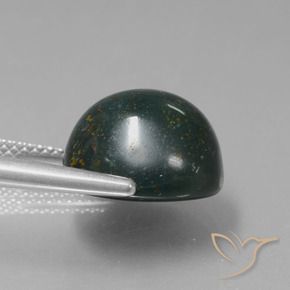 Bloodstone Gemstone in 12.9 x 12.1 mm Size for Sale, Bloodstone Stone in Multicolor Color