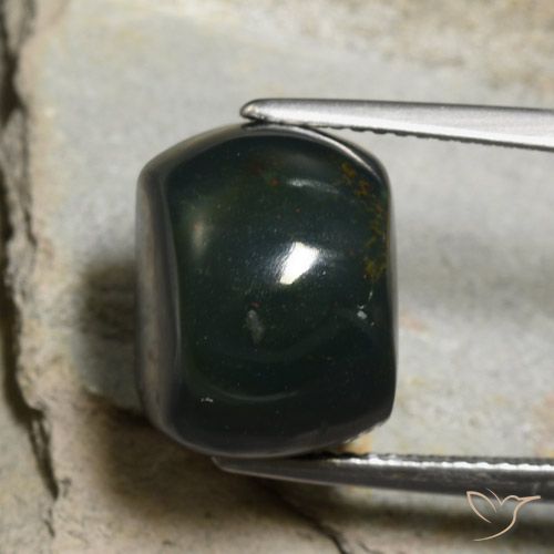 13.06ct Natural Deep Green Bloodstone, Cushion, Opaque
