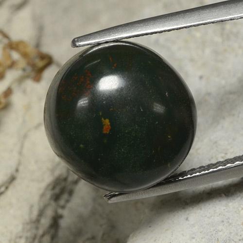 Verde oscuro Piedra de Sangre Gema - 15ct Cabujón Redondo (ID: 482097)
