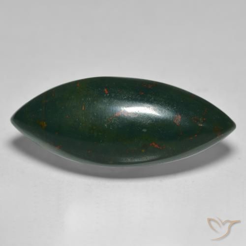 15.61 ct Marquise Bloodstone, 26.5 x 10.7 mm From Madagascar, Photo A
