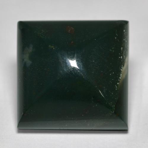Forest Green Bloodstone Gem - 12.6ct Square Sugarloaf Cabochon (ID: 562609)