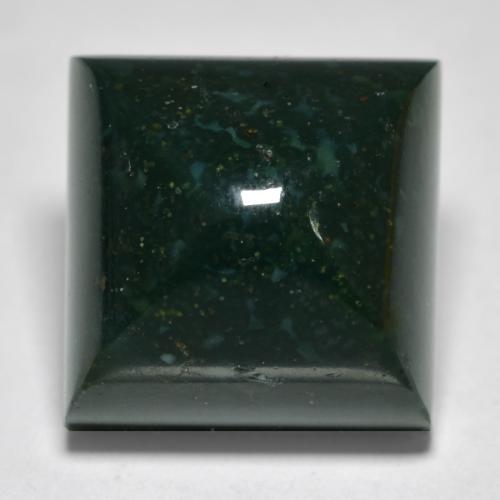 Forest Green Bloodstone Gem - 14.7ct Square Sugarloaf Cabochon (ID: 562613)