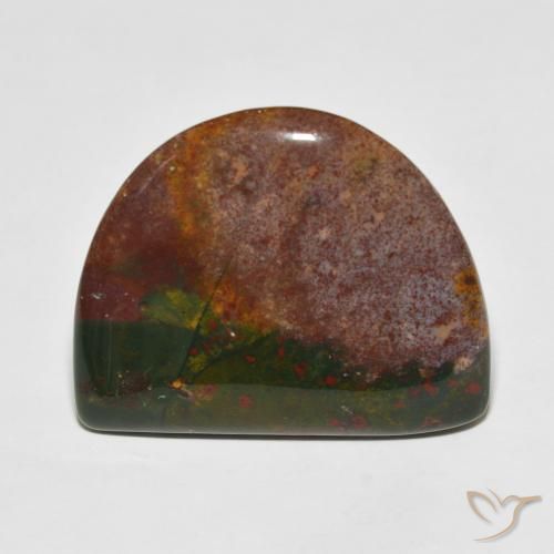 23.83 ct Fancy Bloodstone, 27.9 x 22.7 mm From Madagascar, Photo A