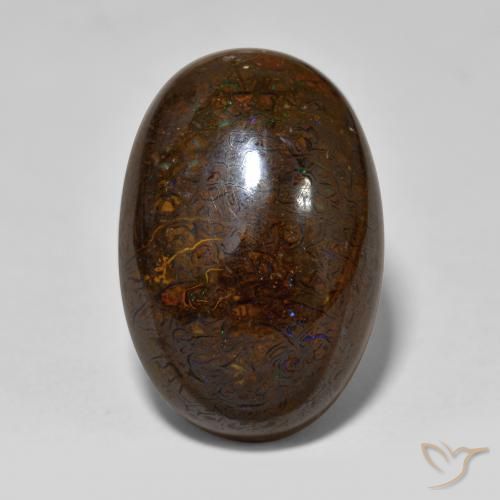 Ópalo Boulder Cabujón Óvalo de 23,34 ct de Australia, Dimensión 20,8 x 14mm, Claridad Opaco, Piedra preciosa natural No tratado, 1 pieza de Ópalo Boulder en color Multicolor, Dureza Mohs de 5.5 - 6.5, Photo A