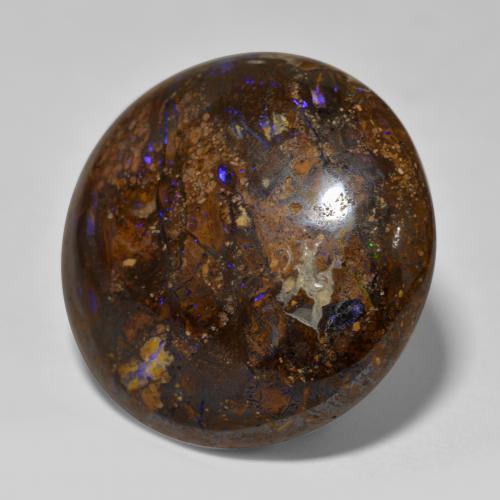 23.48 ct Multicolor Boulder Opal Stone, Natural Boulder Opal in Round Cabochon Shape for Sale