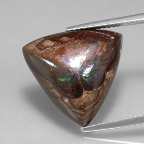 13.66 ct Multicolor Boulder Opal Gemstone, Boulder Opal Gem in Trillion Cabochon Shape for Sale.