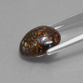 Boulder Opal Gemstone in 14.1 x 11.9 mm Size for Sale, Boulder Opal Stone in Multicolor Color