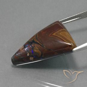 Boulder Opal Gemstone in 26.7 x 21.3 mm Size for Sale, Boulder Opal Stone in Multicolor Color