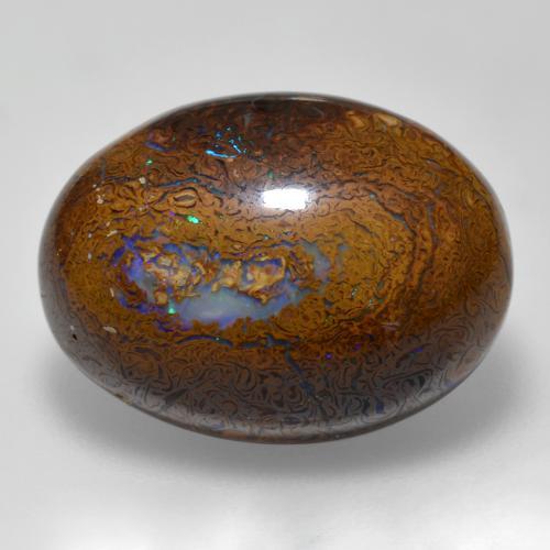 Multicolor Ópalo Boulder Gema - 15.6ct Cabujón Óvalo (ID: 420671)