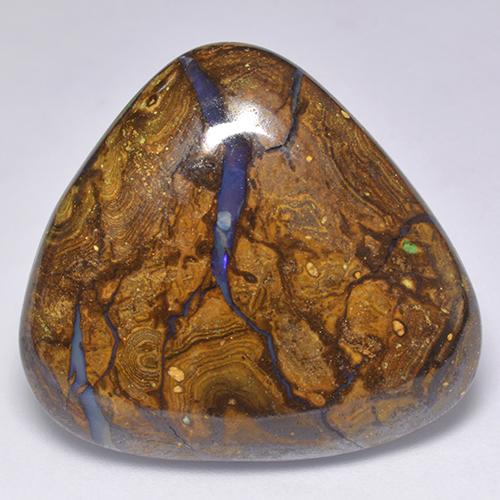 Multicolor Boulder Opal Gem - 32.3ct Trillion Cabochon (ID: 521763)