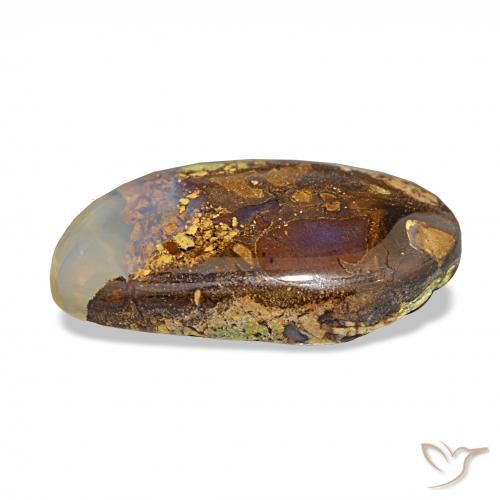 Boulder Opal Gemstone in 19.3 x 10.7 mm Size for Sale, Boulder Opal Stone in Multicolor Color