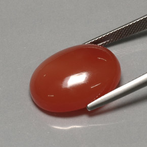 Carnelian Gemstone in 20 x 15 mm (calibrated) Size for Sale, Carnelian Stone in Red Orange Color