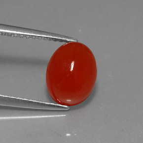 2.36 ct Orange Carnelian Gemstone, Carnelian Gem in Oval Cabochon Shape for Sale.