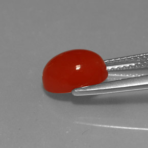 Carnelian Gemstone in 9 x 7 mm (calibrated) Size for Sale, Carnelian Stone in Red Orange Color