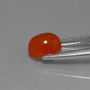 Carnelian Gemstone in 8 x 6 mm (calibrated) Size for Sale, Carnelian Stone in Red Orange Color