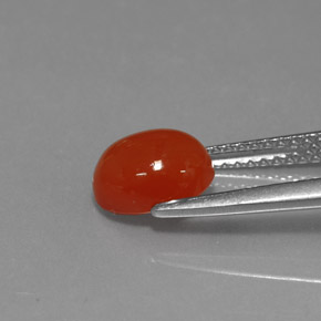 Carnelian Gemstone in 8 x 6 mm (calibrated) Size for Sale, Carnelian Stone in Red Orange Color