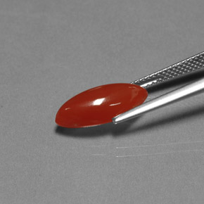 Carnelian Gemstone in 15.1 x 7.2 mm Size for Sale, Carnelian Stone in Red Orange Color