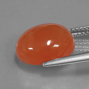 Carnelian Gemstone in 12 x 10 mm (calibrated) Size for Sale, Carnelian Stone in Orange Color