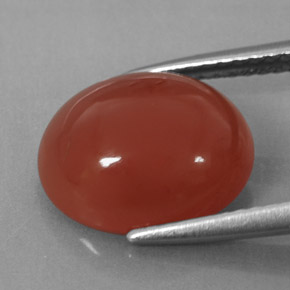 Carnelian Gemstone in 12 x 10 mm (calibrated) Size for Sale, Carnelian Stone in Orange Color