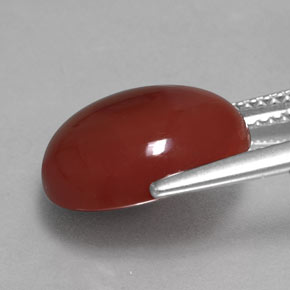 Carnelian Gemstone in 13.1 x 11.1 mm Size for Sale, Carnelian Stone in Orange Color