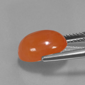 Carnelian Gemstone in 12 x 10 mm (calibrated) Size for Sale, Carnelian Stone in Orange Color