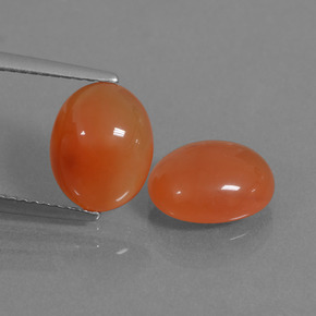 Orange feu Cornaline gemme - 2.4ct Ovale Cabochon (ID: 436117)