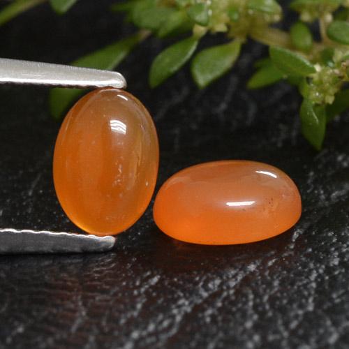 Naranja melocotón vívido Cornalina Gema - 0.8ct Cabujón Óvalo (ID: 469458)