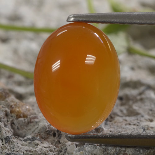 Amber Orange Carnelian Gem - 2.3ct Oval Cabochon (ID: 469617)
