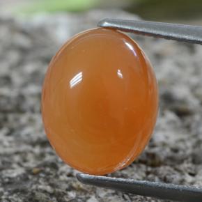 Reddish Orange Carnelian Gem - 2.9ct Oval Cabochon (ID: 469672)