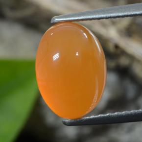 Apricot Orange Карнеол Камень - 2.8ct Овал Кабошон (ID: 469679)