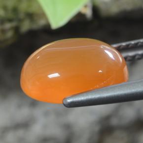 Carnelian Gemstone in 10 x 8 mm (calibrated) Size for Sale, Carnelian Stone in Warm Apricot Orange Color