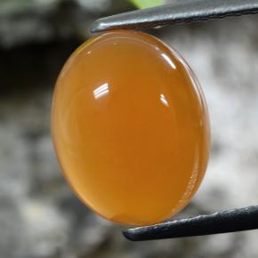 Naranja albaricoque Cornalina Gema - 2.6ct Cabujón Óvalo (ID: 469681)