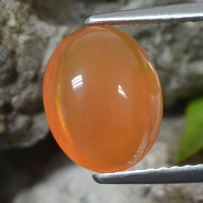 Warm Apricot Orange Carnelian Gem - 2.9ct Oval Cabochon (ID: 469683)