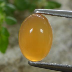 Deep Orange-Gold Карнеол Камень - 1ct Овал Кабошон (ID: 469804)
