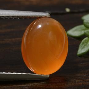 2.5ct Oval Cabochon Orange Carnelian Gem for sale 2.5ct Oval Cabochon Orange Carnelian Gem (ID: 471679)