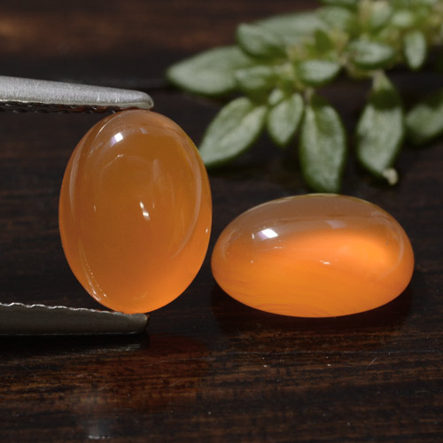 Naranja medio Cornalina Gema - 1.2ct Cabujón Óvalo (ID: 471685)