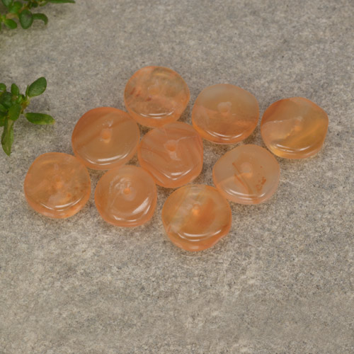 Medium Orange 红玉髓 Gem - 0.6ct 圆板型 (ID: 480168)