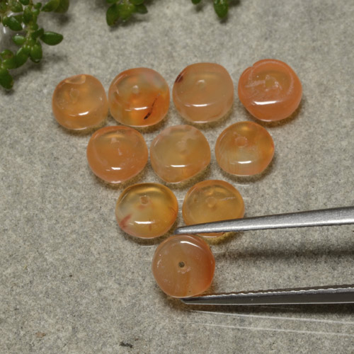 Warm Apricot Orange Carnelian Gem - 0.8ct Rondelle (ID: 480174)